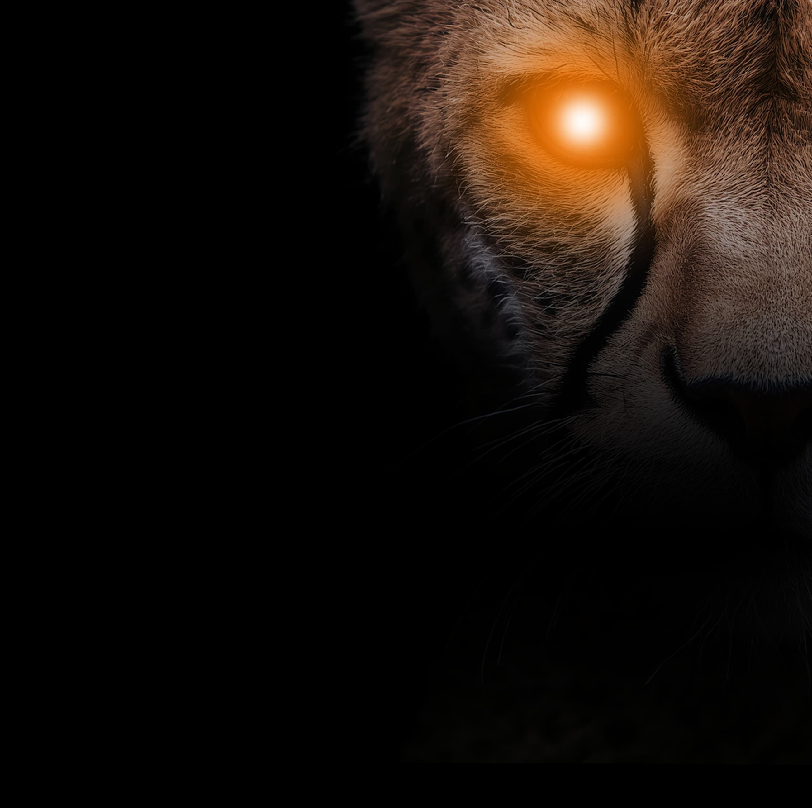 Desktop background